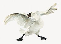 The Threatened Swan.   Remastered by rawpixel