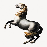 Napoleon's white horse illustration.   Remastered by rawpixel