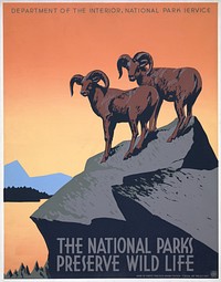 The national parks preserve wild life (1936) poster by Works Progress Administration Federal Art Project. Original public domain image from the Library of Congress. Digitally enhanced by rawpixel.