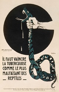 Tuberculosis must be conquered like the most evil of reptiles (1918) poster by Géo Dorival. Original public domain image from the Library of Congress. Digitally enhanced by rawpixel.