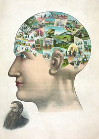 Human mind illustration.  Remixed by rawpixel.