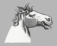 Laughing horse, It's enough to make a horse laugh collage element psd.  Remixed by rawpixel.