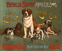 Bench show, Apr. 1, 2, 3, 4, New England kennel club, Mechanic's hall, Huntington Ave, Boston (1890). Original public domain image from the Library of Congress. Digitally enhanced by rawpixel.