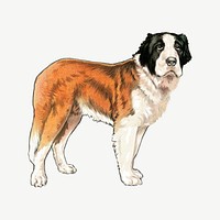 Saint Bernard dog, animal collage element psd.   Remixed by rawpixel.