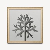 Gold frame mockup, Karl Blossfeldt's plant psd remixed by rawpixel