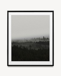 Foggy forest in picture frame