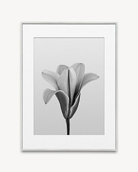 Lilly flower in gray frame