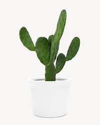 Plant pot mockup with cactus psd