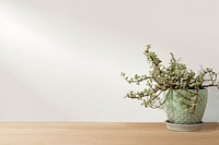 Product backdrop mockup psd wooden shelf with white wall