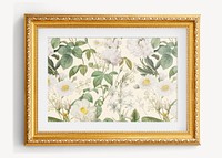 White flower illustration, vintage  frame