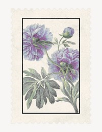 Postage stamp mockup, vintage flower aesthetic illustration psd