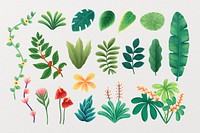 Green leaves, botanical illustration set