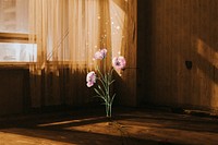 Golden hour flower aesthetic, wooden room aesthetic