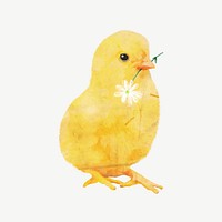 Baby chicken flower collage element psd