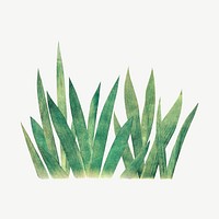 Grass bush divider, botanical collage element psd