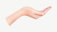 Woman's palm hand, body gesture collage element psd