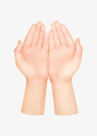 Praying hands, body gesture collage element psd