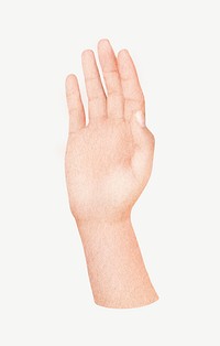 Raised hand, body gesture collage element psd