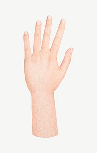 Raised hand, body gesture collage element psd