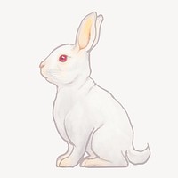 White rabbit, Chinese zodiac animal illustration