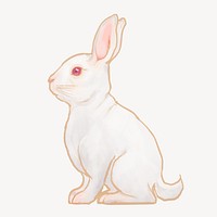 White rabbit, Chinese zodiac animal illustration