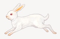 Jumping white rabbit, Chinese zodiac animal illustration