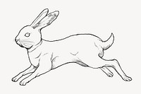 Jumping rabbit, Chinese zodiac animal, line art illustration