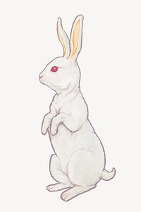 Standing white rabbit, Chinese zodiac animal illustration