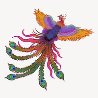 Colorful phoenix bird, Chinese animal illustration