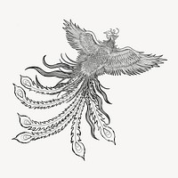 Ancient phoenix bird, Chinese mythical creature illustration