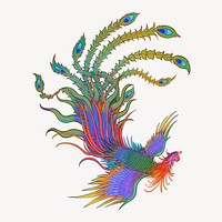 Colorful phoenix bird, Chinese animal illustration