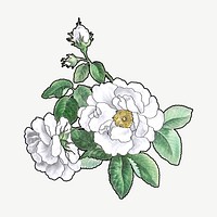 White rose clipart psd, remixed by rawpixel