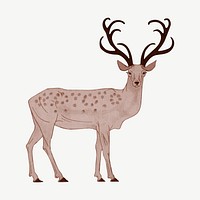 Deer, animal clipart psd, remixed by rawpixel