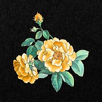 Yellow rose clipart psd, remixed by rawpixel