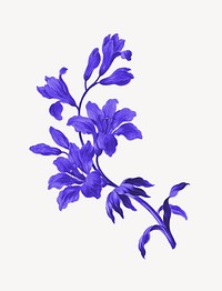 Purple flower illustration, remixed by rawpixel