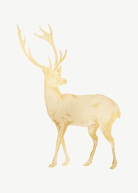 Gold deer, animal clipart psd, remixed by rawpixel