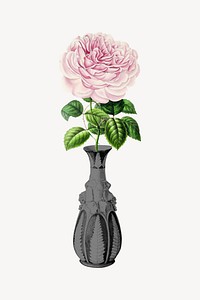 Pink Chinese rose illustration, remixed by rawpixel