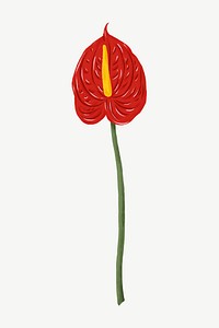 Red anthurium flower clipart psd