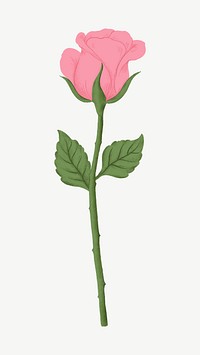 Pink rose flower clipart psd