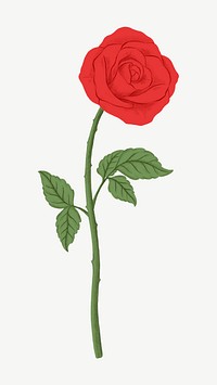 Red rose flower clipart psd