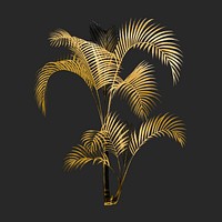 Aesthetic gold palm tree clipart psd