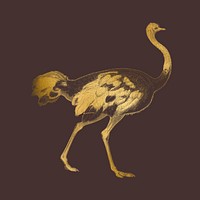 Gold ostrich, vintage animal collage element psd