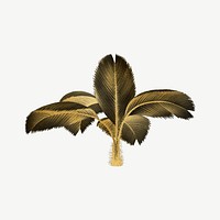 Palm tree, gold plant clipart psd