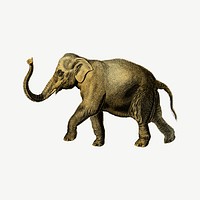 Gold elephant, vintage wildlife collage element psd