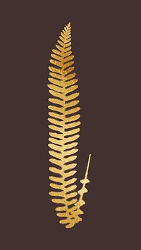 Aesthetic gold fern leaf illustration