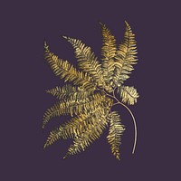 Aesthetic gold fern leaf clipart psd