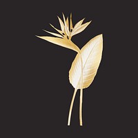 Bird of paradise, gold plant clipart psd