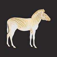 Gold zebra, wild animal collage element 