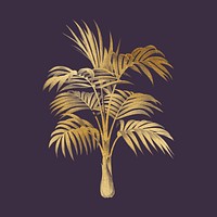 Palm tree, gold plant clipart psd