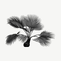 Black palm tree, vintage clipart psd